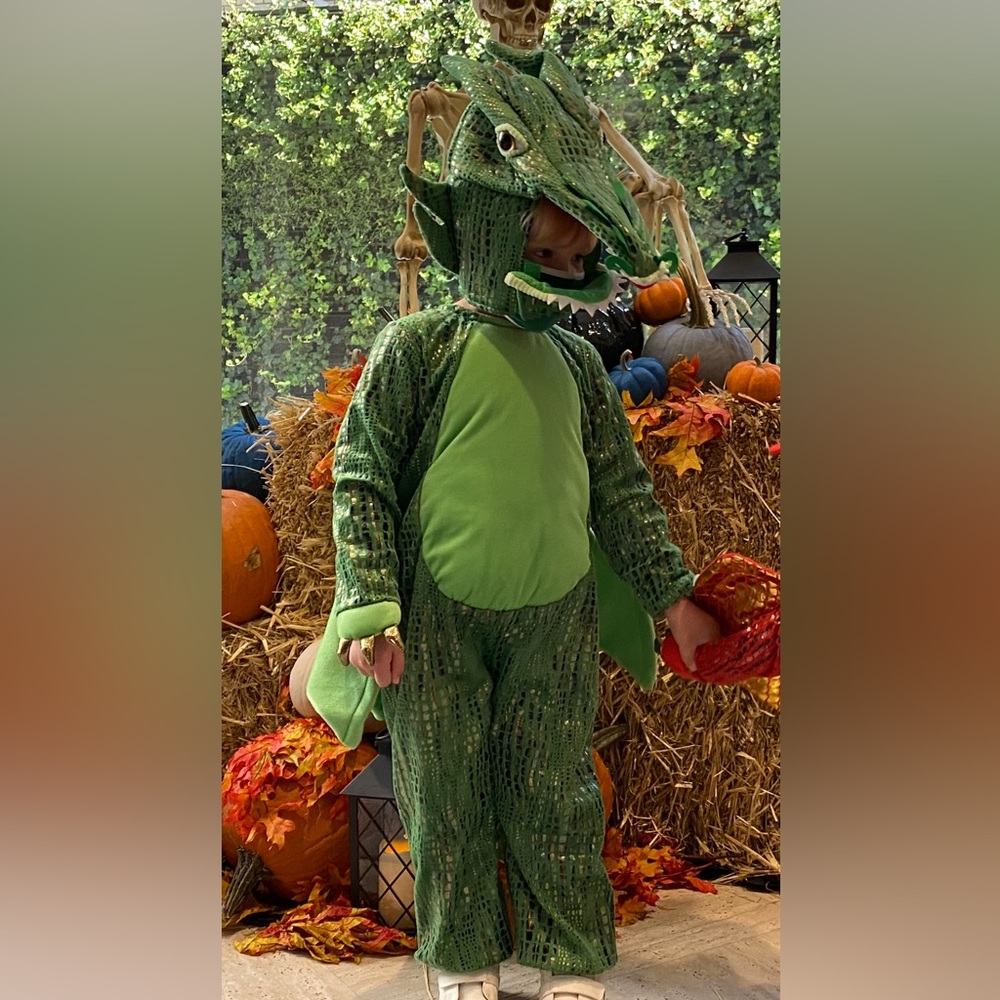 Pottery Barn Kids green dragon Halloween costume size 4-6